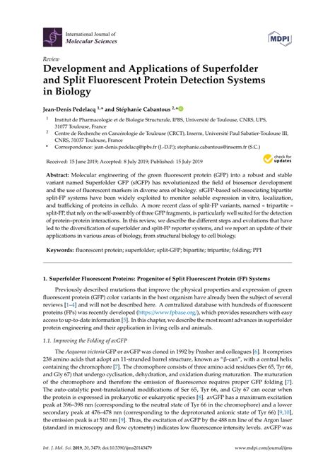 sfgafp|Development and Applications of Superfolder and Split  .
